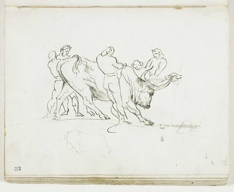 Cinq hommes maîtrisant un taureau et première mise en place du même taureau ; croquis d'une tête de buffle, de profil vers la gauche