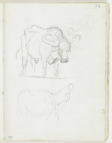Un buffle, de trois quarts vers la droite, et esquisse d'une tête coiffée d'un chapeau (un éleveur ?) ; esquisse d'un autre bovin, de profil, vers la droite, la tête en arrière