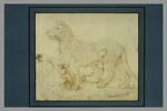 La Louve allaitant Romulus et Remus, image 2/2