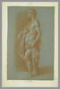 Homme demi nu, debout, retenant une draperie, tourné vers la gauche, image 2/2