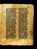 feuillet de codex, image 3/47
