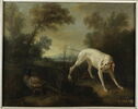 Blanche, chienne de la meute de Louis XV, image 1/2