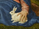 La Vierge à l'Enfant avec sainte Catherine d'Alexandrie et un berger,  dit La Vierge au lapin, image 12/16