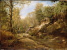 Pins et bouleaux-forêt de Fontainebleau, image 4/4