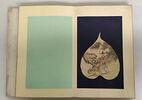 Peinture chinoise. Album avec reliure en bois., image 12/37