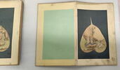 Peinture chinoise. Album avec reliure en bois., image 23/37