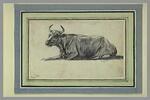 Etude de vache couchée, de profil vers la gauche, image 2/2
