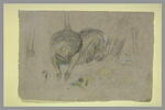 Etude d'une autruche, de plumes, de têtes et de jambes, image 2/2