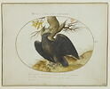 Aigle devant un chêne, ailes déployées, dans un encadrement ovale, image 3/3