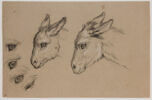Deux têtes d'âne et quatre études d'oeil d'âne, image 1/3