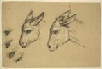 Deux têtes d'âne et quatre études d'oeil d'âne, image 3/3