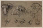 Etudes de deux têtes de brebis, une étude de tête de chameau et cinq..., image 1/3