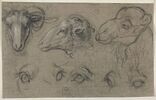 Etudes de deux têtes de brebis, une étude de tête de chameau et cinq..., image 3/3