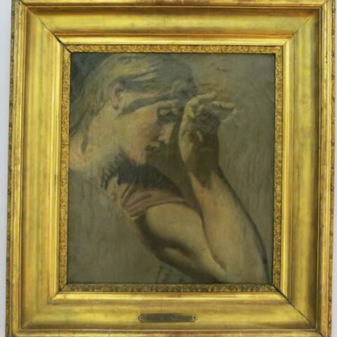 Déjanire enlevée par le centaure Nessus - Louvre site des
