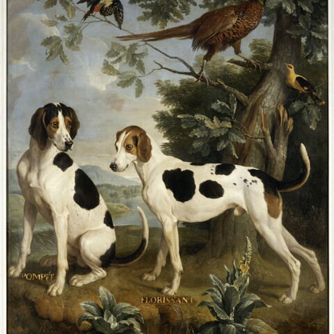 La chasse au renard | Paul De Vos | Estampe d'art