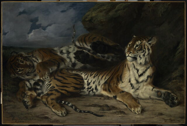 Jeune Tigre jouant avec sa mère, dit aussi Étude de deux tigres