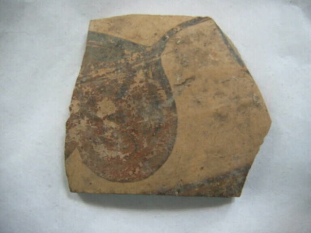 vase fermé