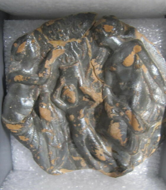 coupe  ; médaillon de vase