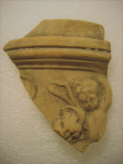 pyxis
