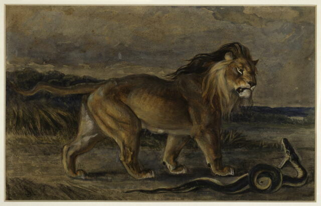 Lion et serpent - Louvre site des collections