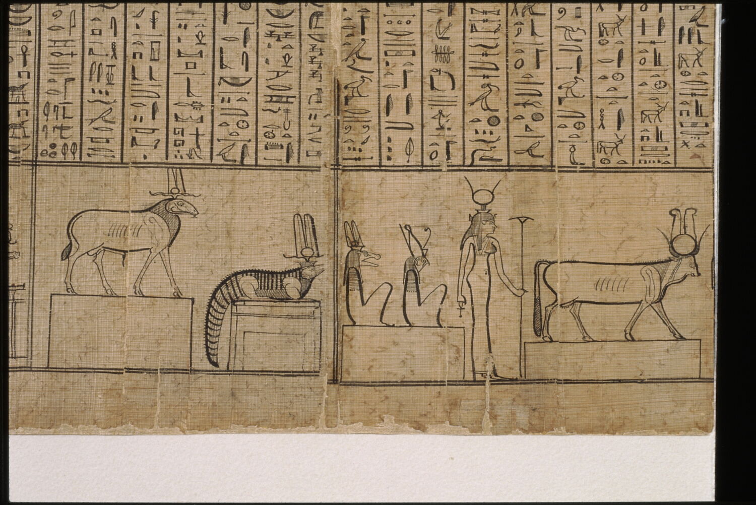 Le papyrus Jumilhac. main image 1