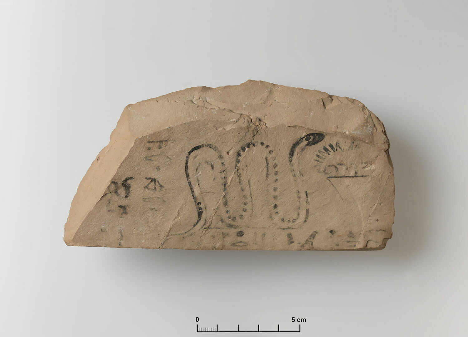 ostracon figuré, époque ramesside (attribution d'après style) (-1295 - -1069)