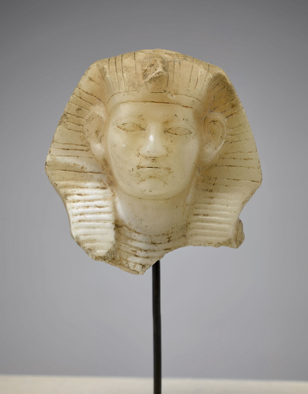 Tête de sphinx d'Amenemhat III, Nymaâtrê Amenemhat III (attribution d'après style) (-1838 - -1794)