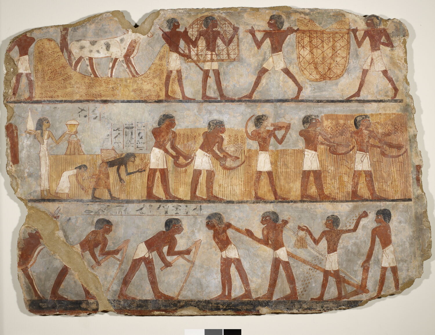 Peinture d'Ounsou, Thoutmosis III (-1479 - -1425)
