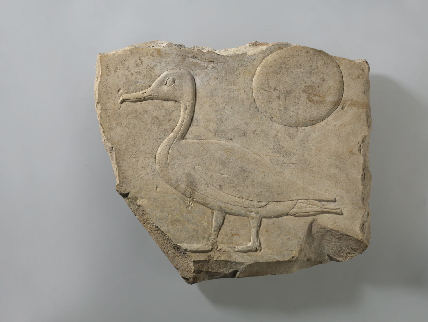 relief mural, Amenhotep I (attribution d'après style) (-1514 - -1493)