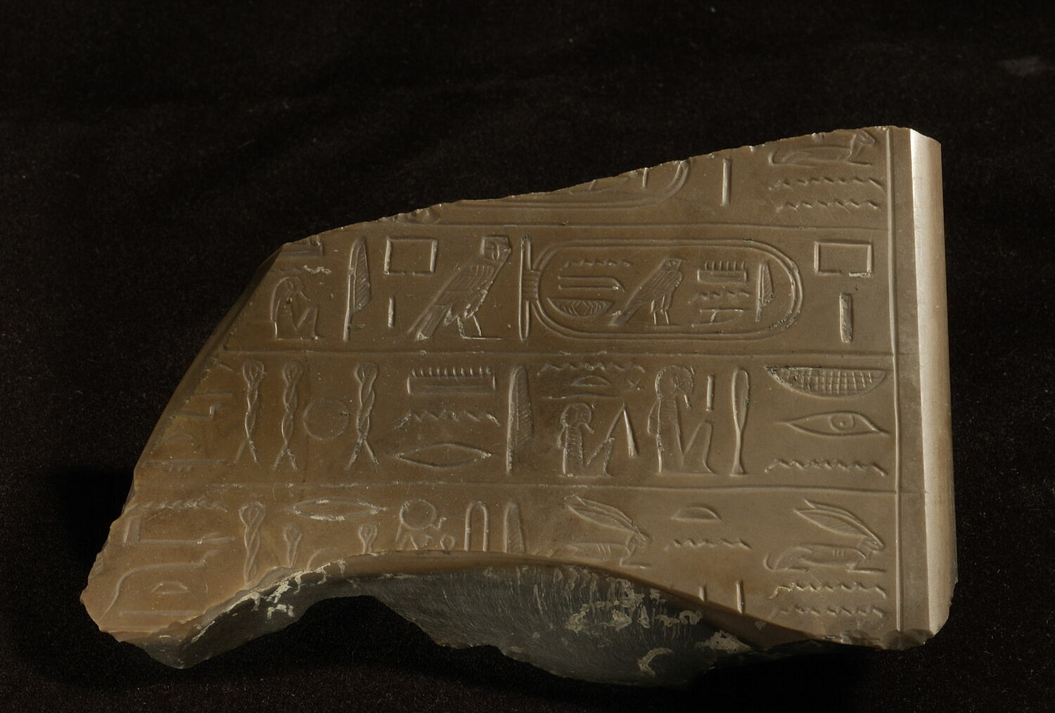 stèle, Horemheb (mention de règne) (-1310 - -1295)