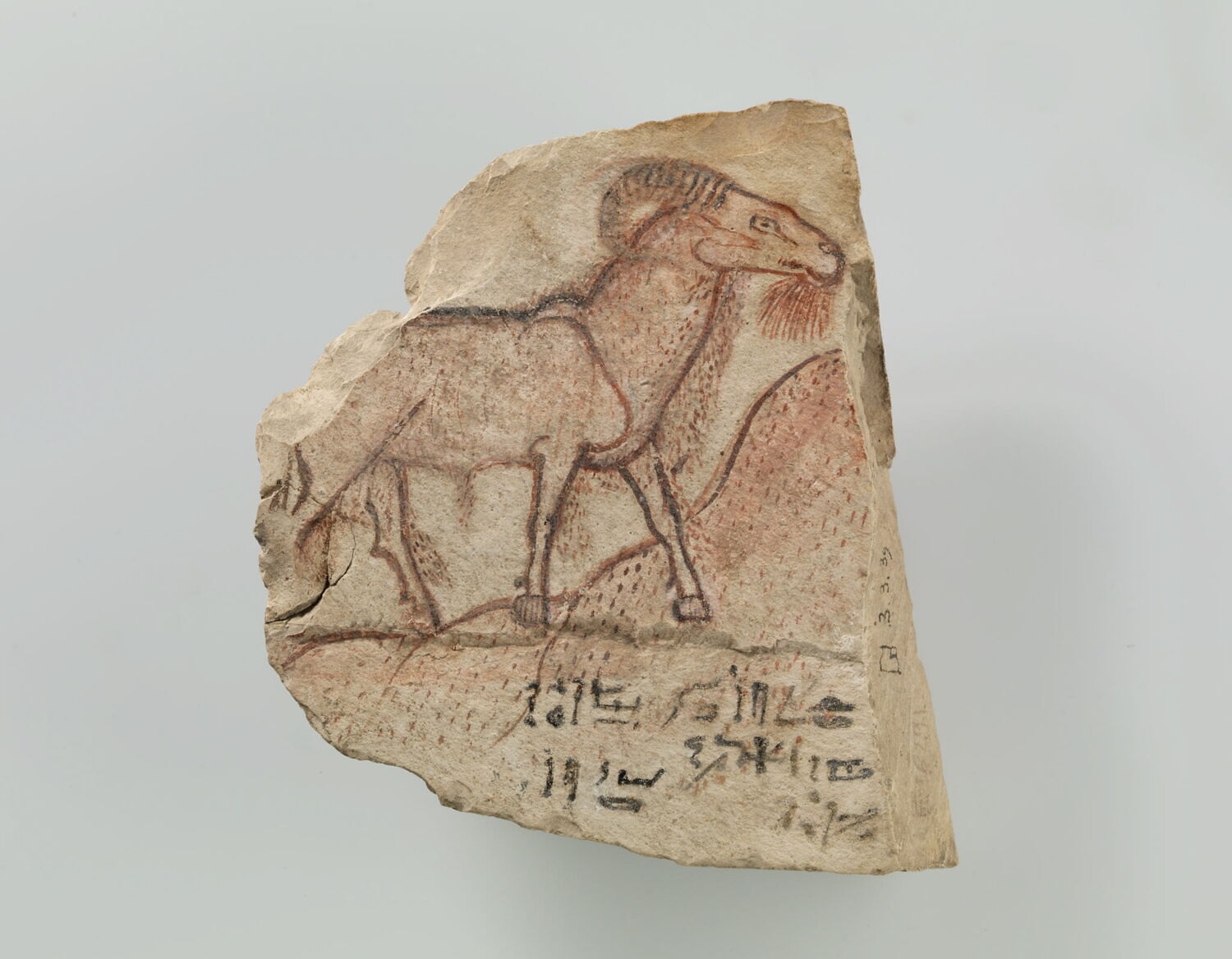 ostracon figuré, époque ramesside (contexte de fouilles) (-1295 - -1069)