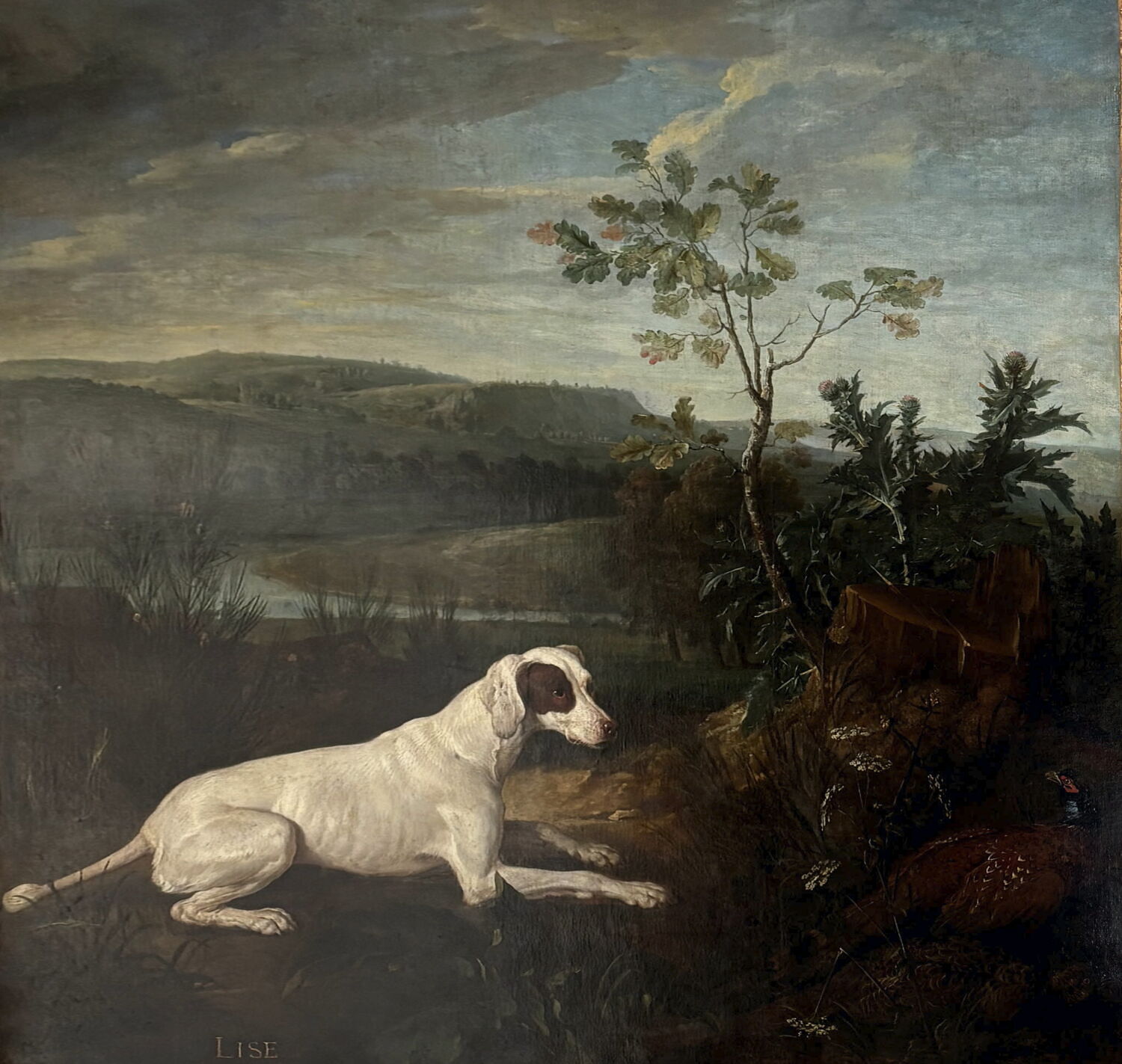 Lise, chienne de la meute de Louis XIV, Desportes, Alexandre-François, 1e quart du XVIIIe siècle (1714)