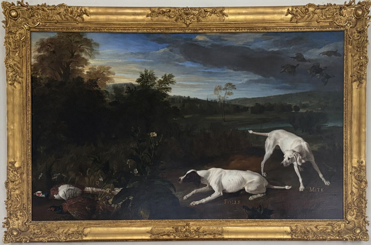 Folle et Mite, chiennes de Louis XIV, Desportes, Alexandre-François, XVIIIe siècle (vers 1702)