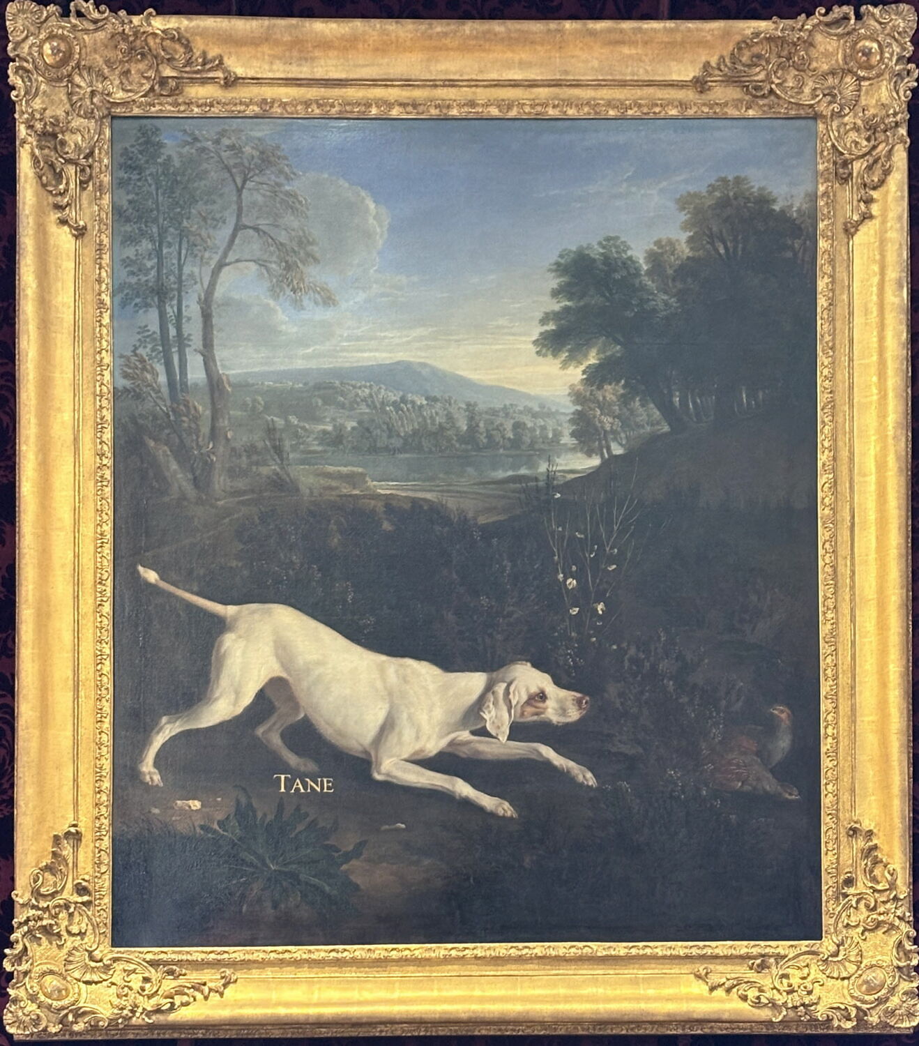 Tane, chienne de Louis XIV, arrêtant deux perdrix, Desportes, Alexandre-François, XVIIIe siècle (Vers 1702) (1702)