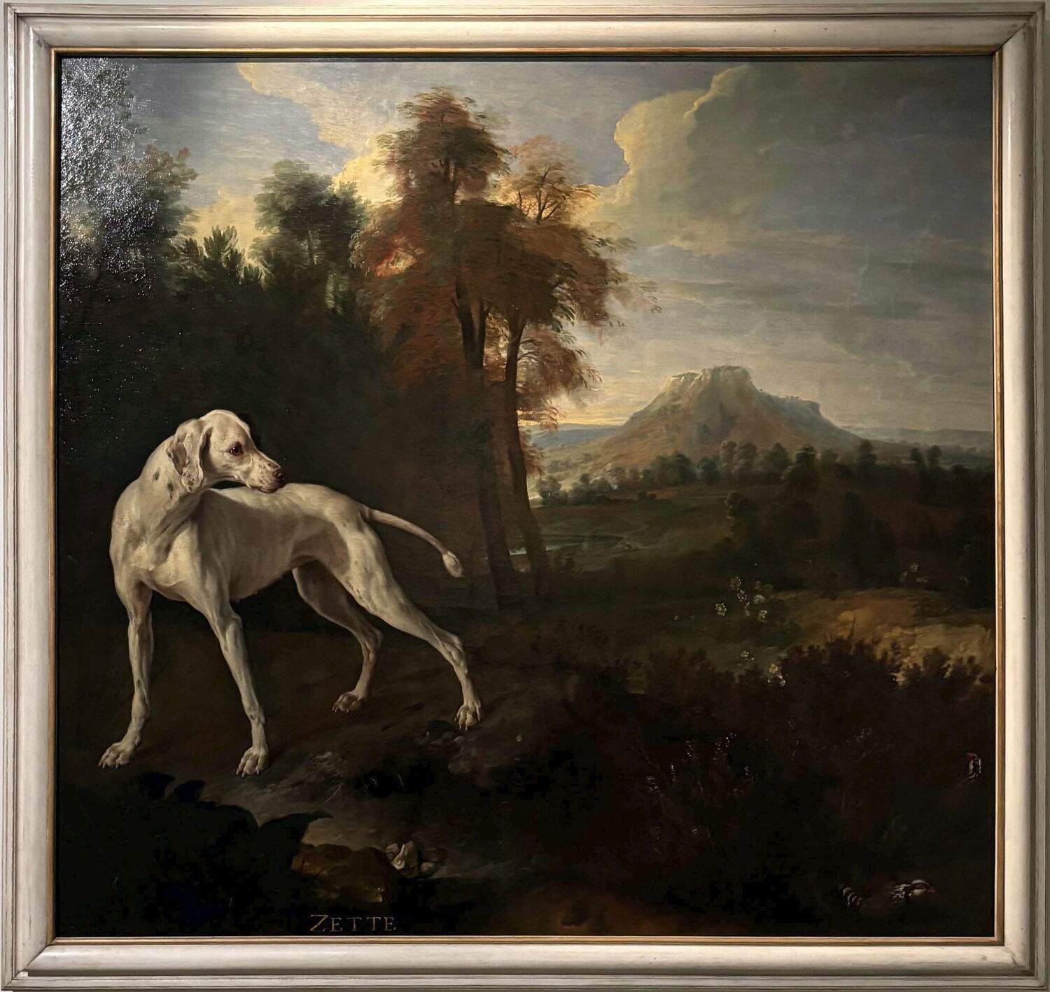 Zette, chienne de la meute de Louis XIV, Desportes, Alexandre-François, 1e quart du XVIIIe siècle (1714)