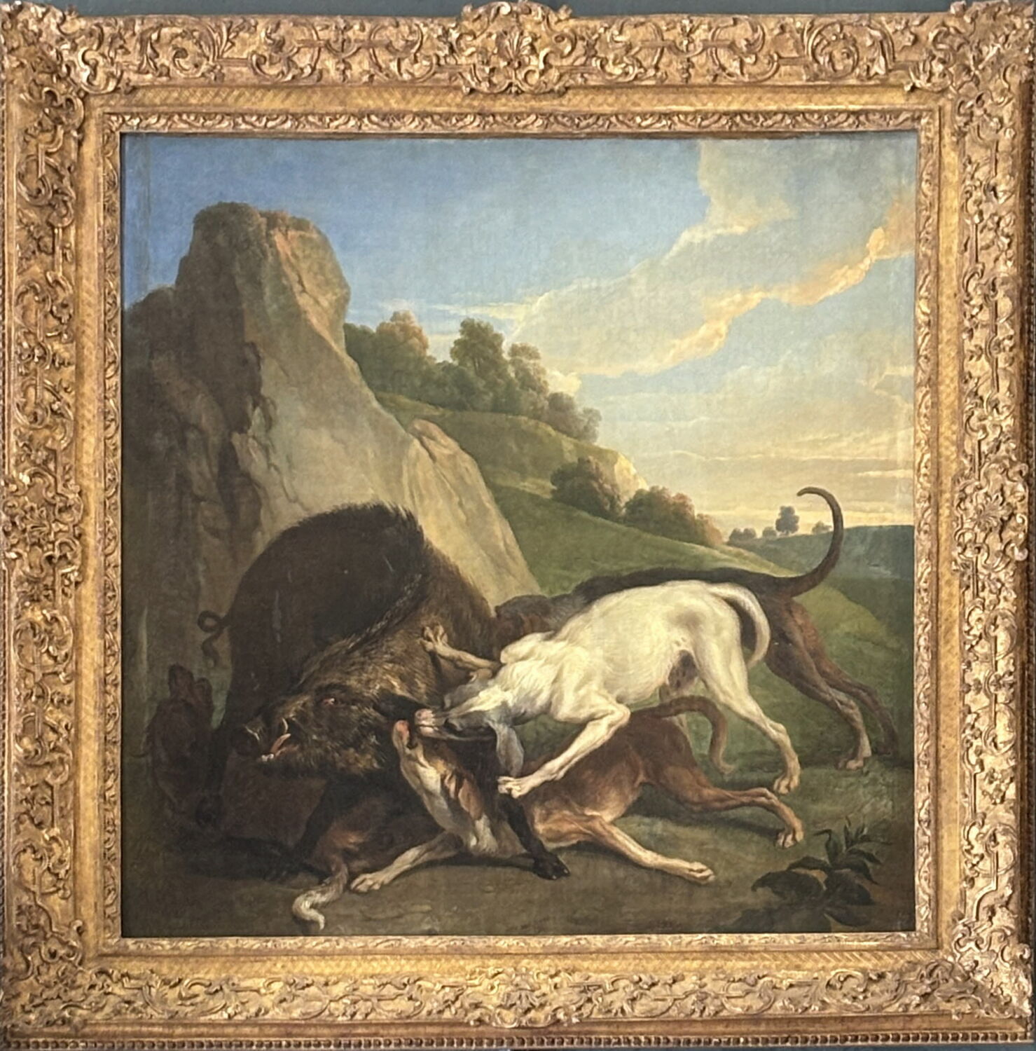 Sanglier arrêté par quatre chiens, Desportes, Alexandre-François, Début du XVIIIe siècle (1700 - 1701)
