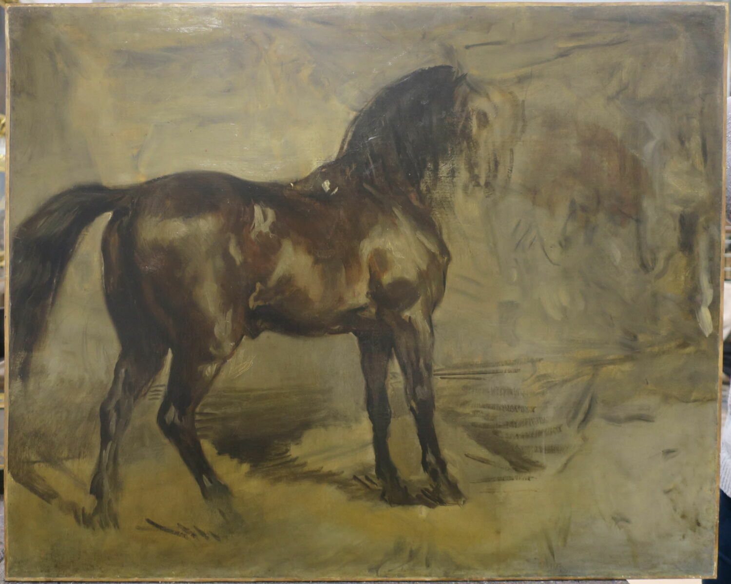 Cheval bai, debout, de profil à droite. Étude., Chassériau, Théodore, XIXe siècle (1849 - 1856)