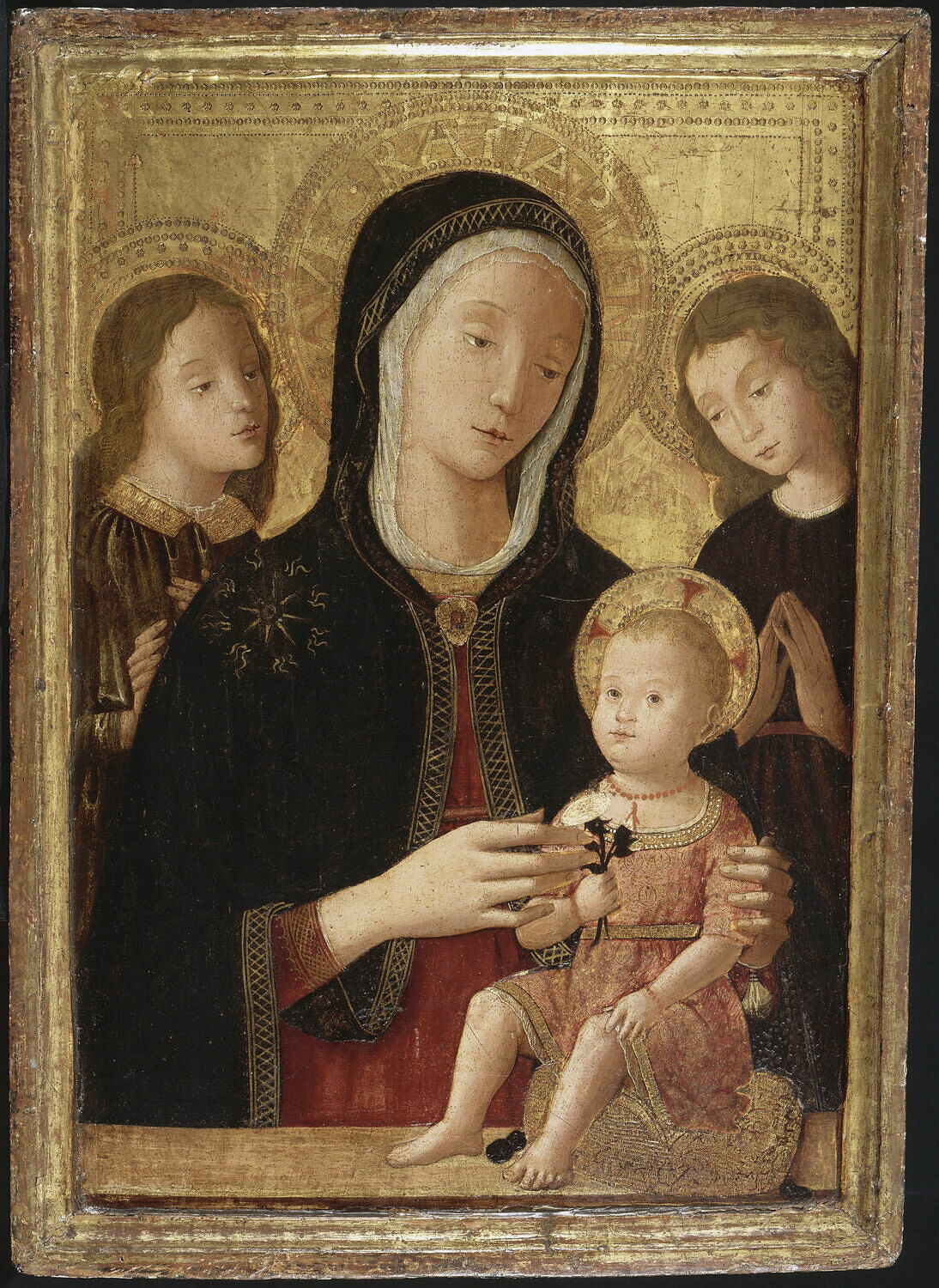 La Vierge et l'Enfant avec deux anges, Fungai, Bernardino, XVe siècle (1400 - 1500)