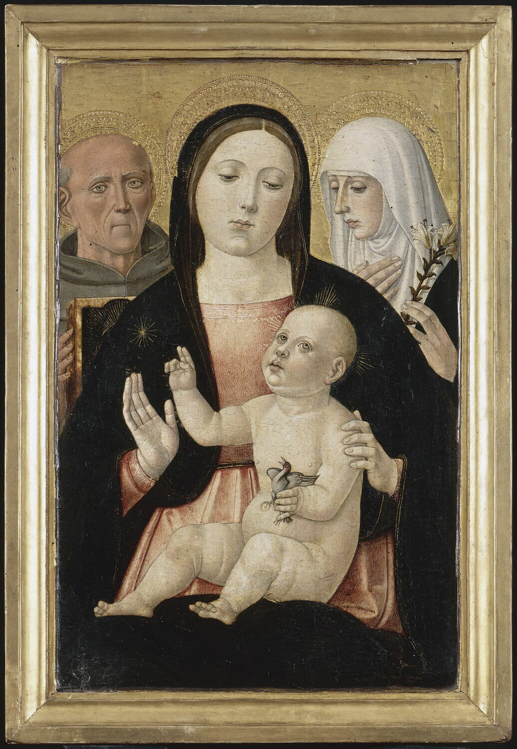 La Vierge et l'Enfant entre saint Bernardin et sainte Catherine de Sienne, Girolamo di Benvenuto, Fin du XVe siècle - début du XVIe siècle (vers 1505 - 1510)