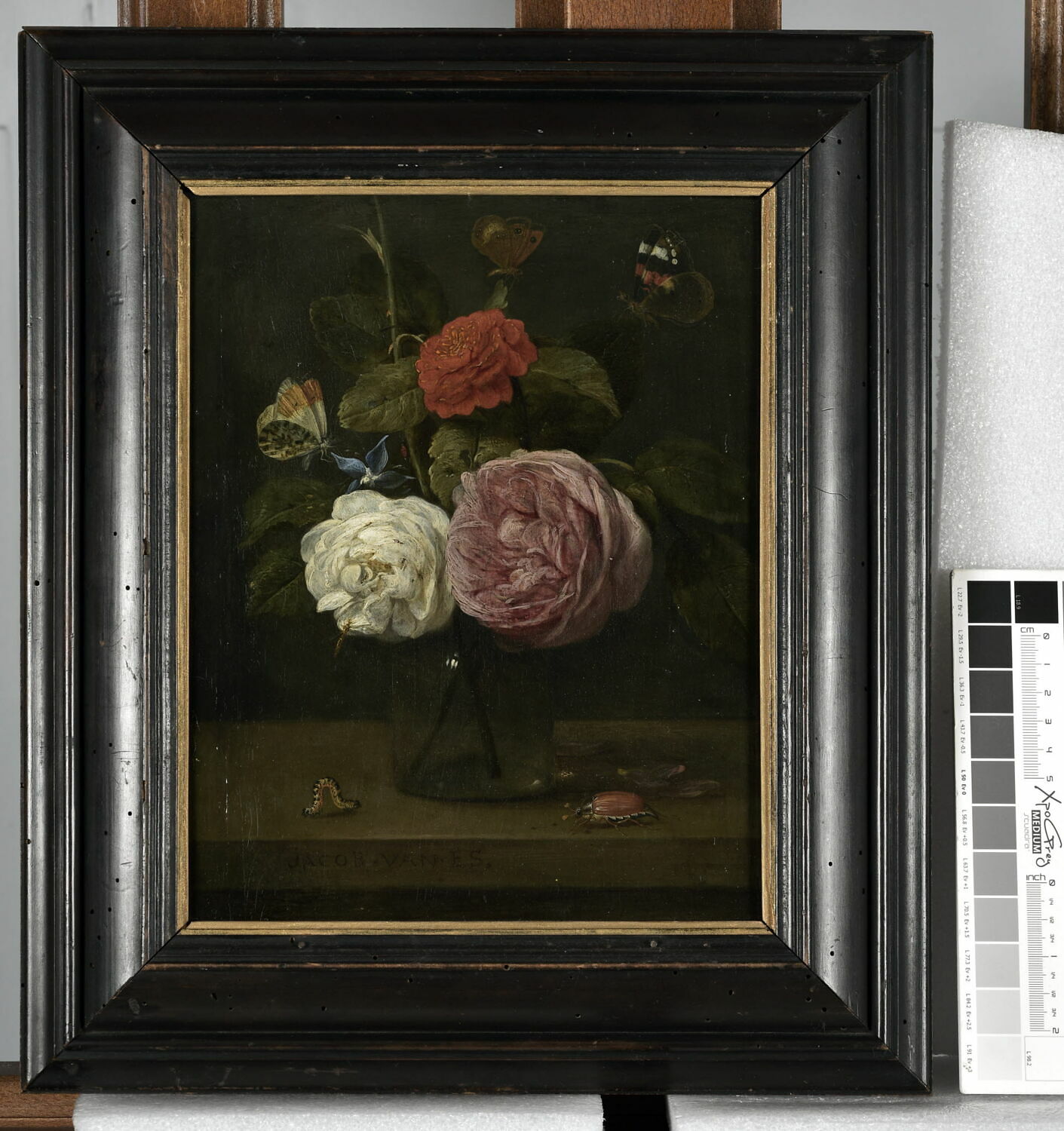 Fleurs, Адриансен, Александр, XVII век (1600–1700)