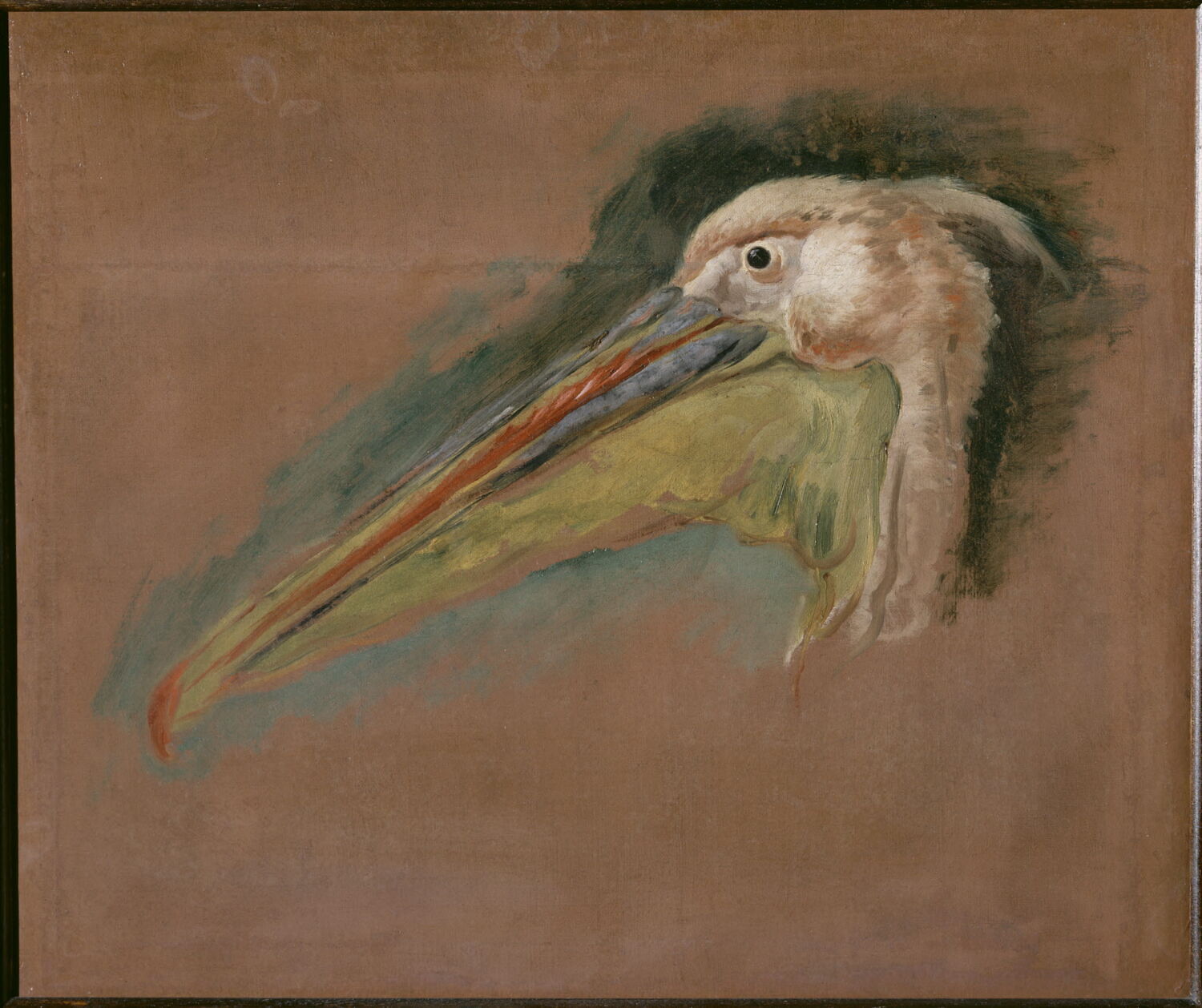 Tête de pélican, Boel, Pieter, XVIIe siècle (1600 - 1700)