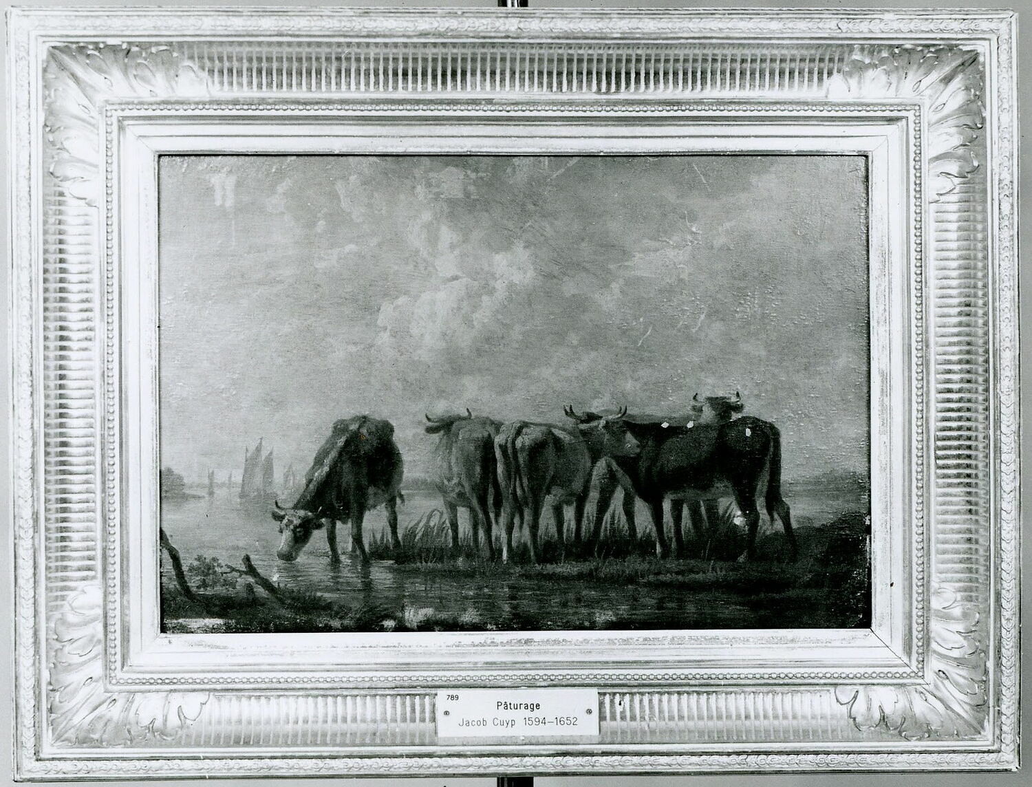 Vaches dans un marais, Cuyp, Aelbrecht, XVIIe siècle (1600 - 1700)