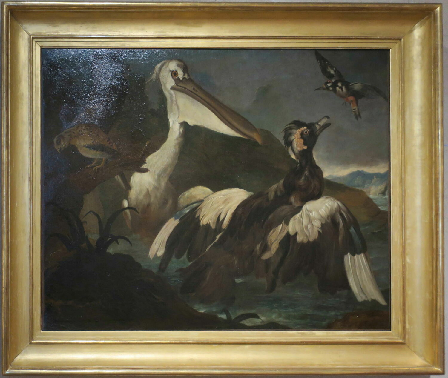 Oiseaux, Hondecoeter, Melchior de, XVIIe siècle (1600 - 1700)