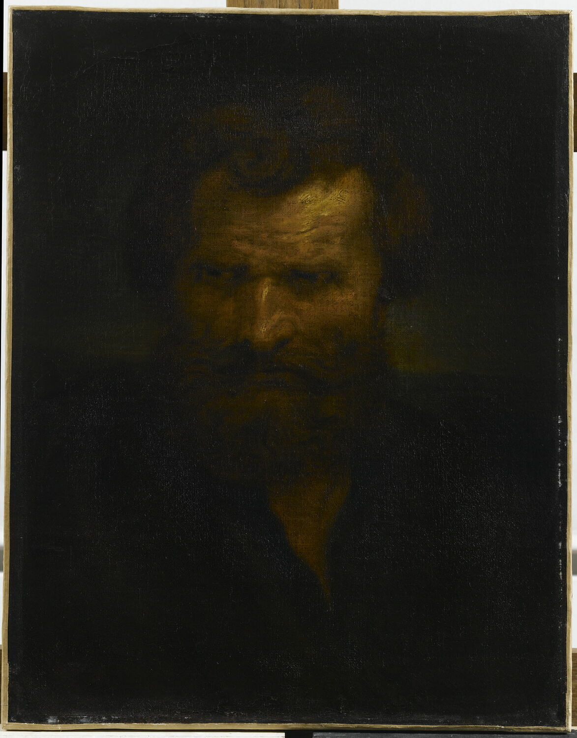 Tête d'homme, Jordaens, Jacob, XVIIe siècle (1600 - 1700)