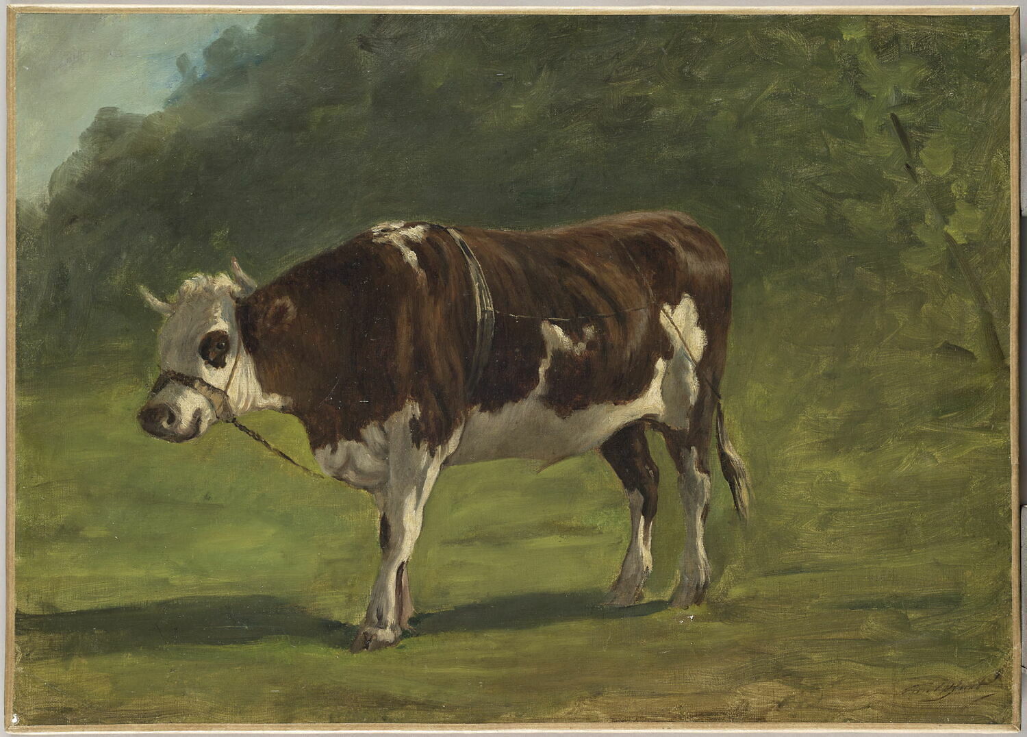 Étude de boeuf avec entrave, Huet, Paul, XIXe siècle (1800 - 1900)