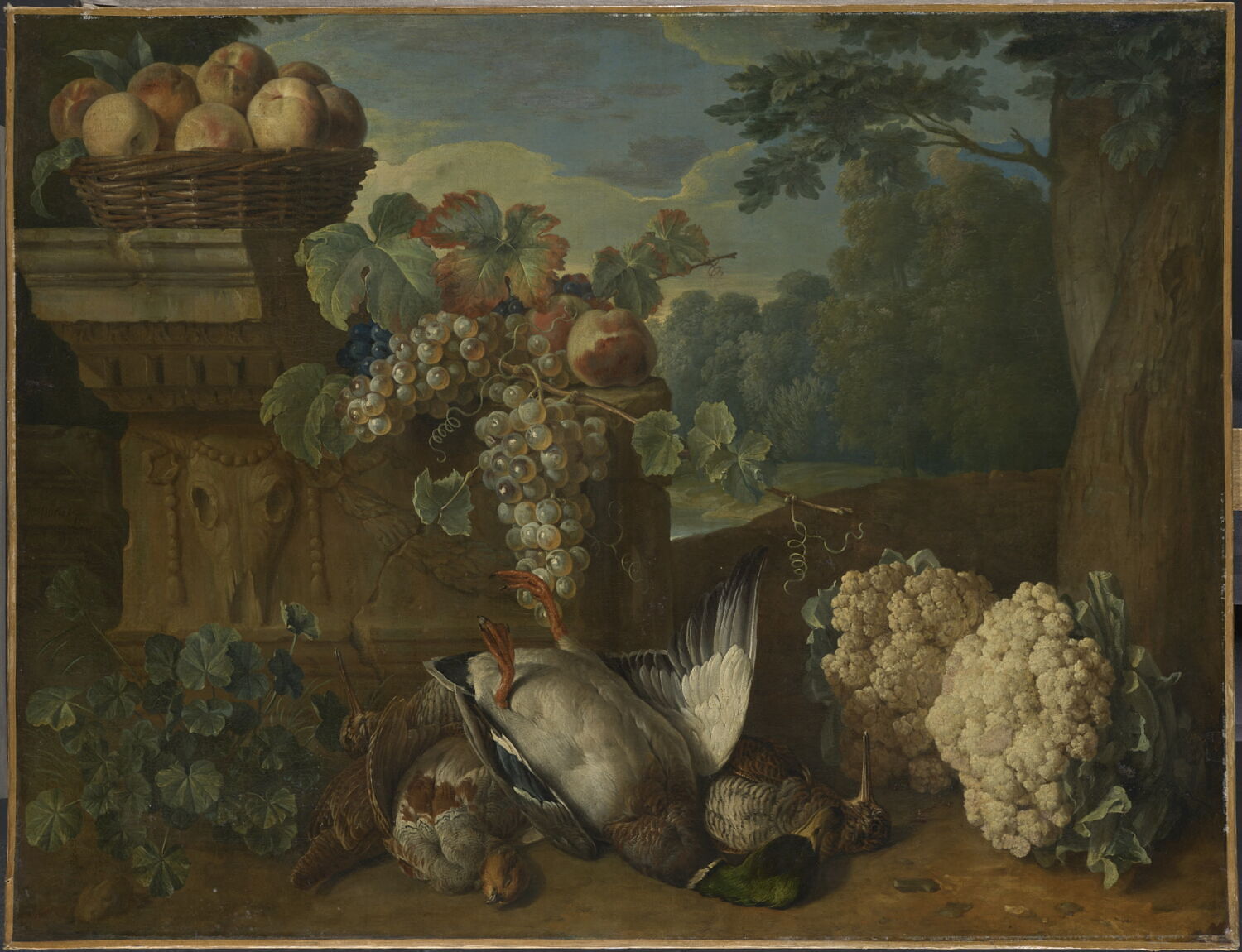 Gibier, fruits et choux-fleurs, Desportes, Alexandre-François, 2e quart du XVIIIe siècle (1725 - 1750)