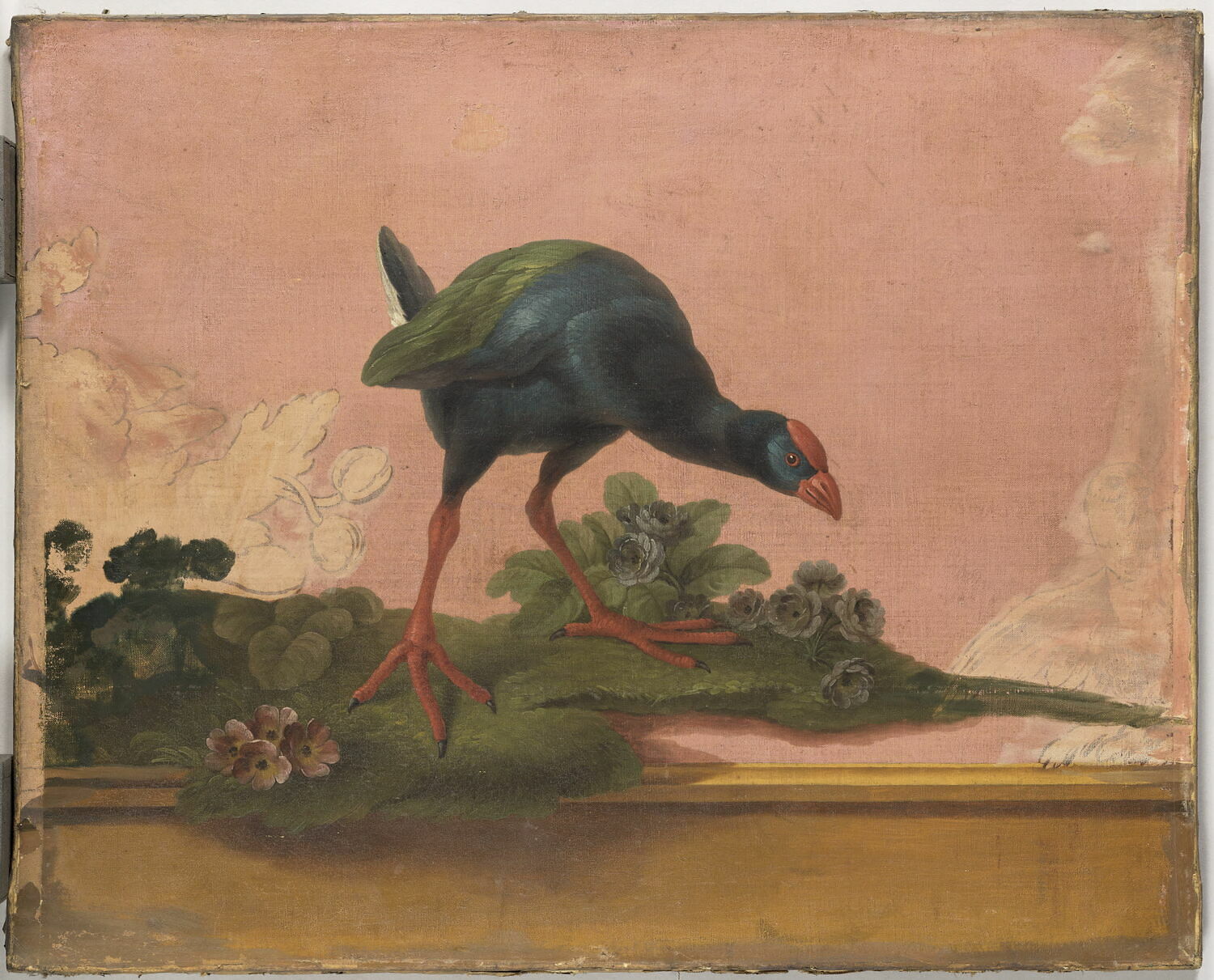 Poule de Tunis. Étude, Anonyme, XVIIe siècle (1600 - 1700)