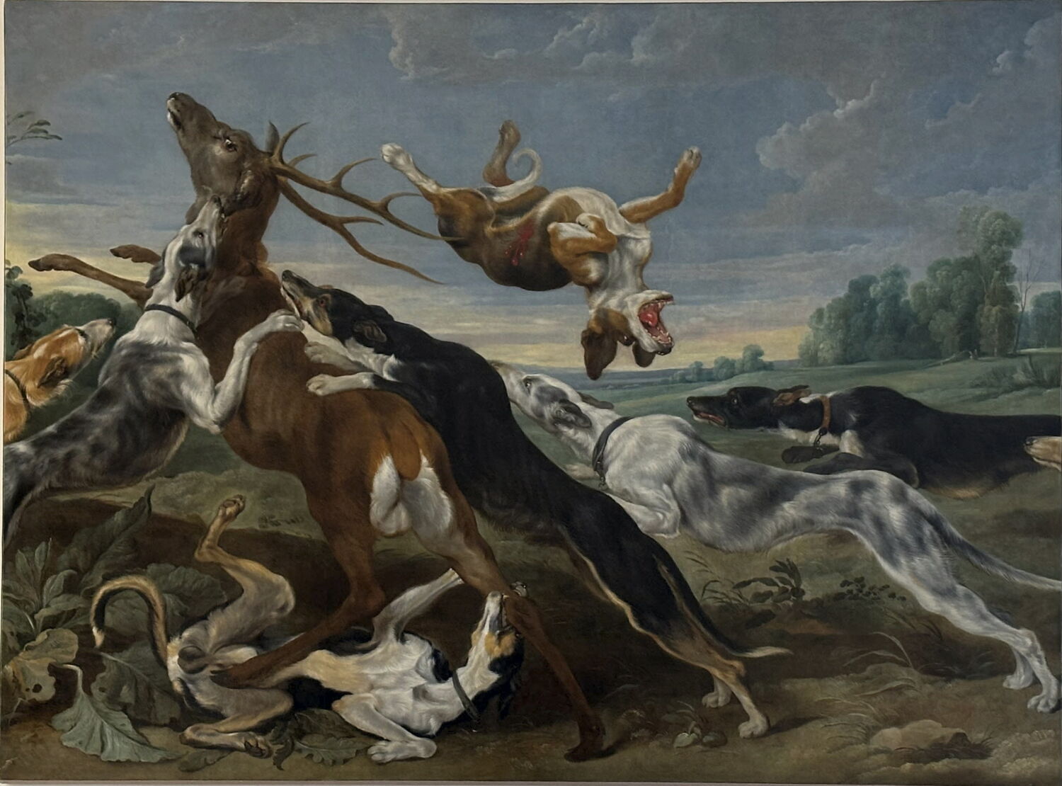 Chasse au cerf, Vos, Paul de, XVIIe siècle (1600 - 1700)