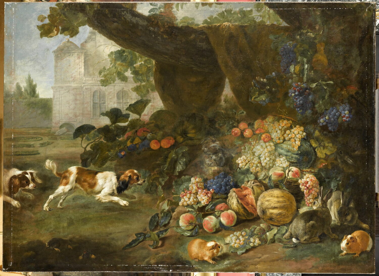 Chiens, lapins, cochon d'Inde et fruits, Desportes, Alexandre-François, 2e quart du XVIIIe siècle (vers 1738)