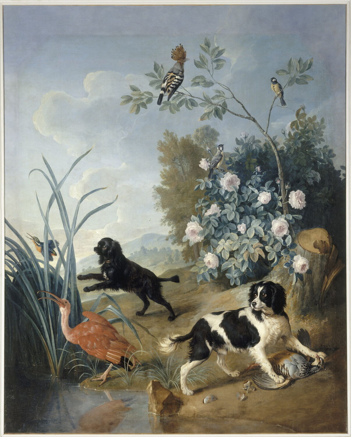 Zerbine et Jemite, chiens de Louis XV., Desportes, Alexandre-François, 2e quart du XVIIIe siècle (1739)